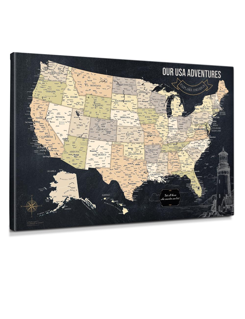 IPIC - USA Push Pin Travel Map Canvas