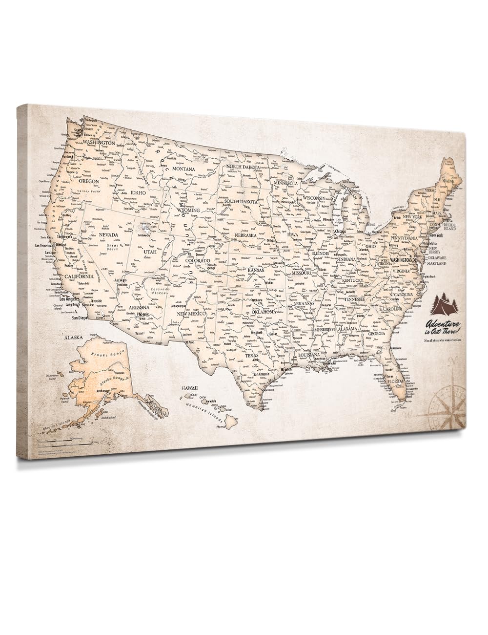 IPIC - Vintage USA Push Pin Map Canvas