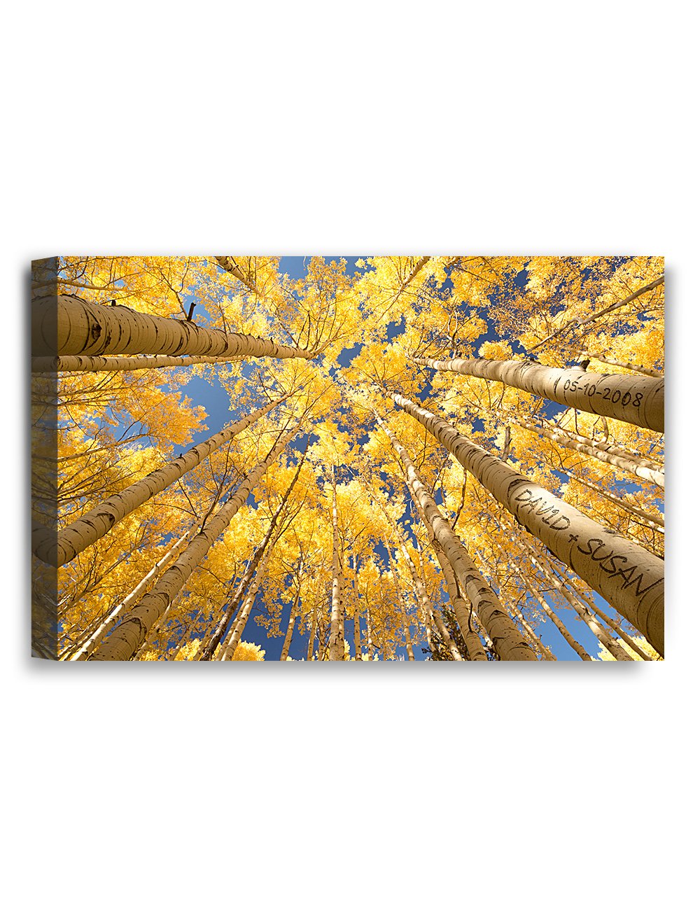 IPIC - Fall in Love, Personalized Artwork with Names and Date on, Customized Gift for Anniversary,Wedding,Birthday and Holidays. 18x12